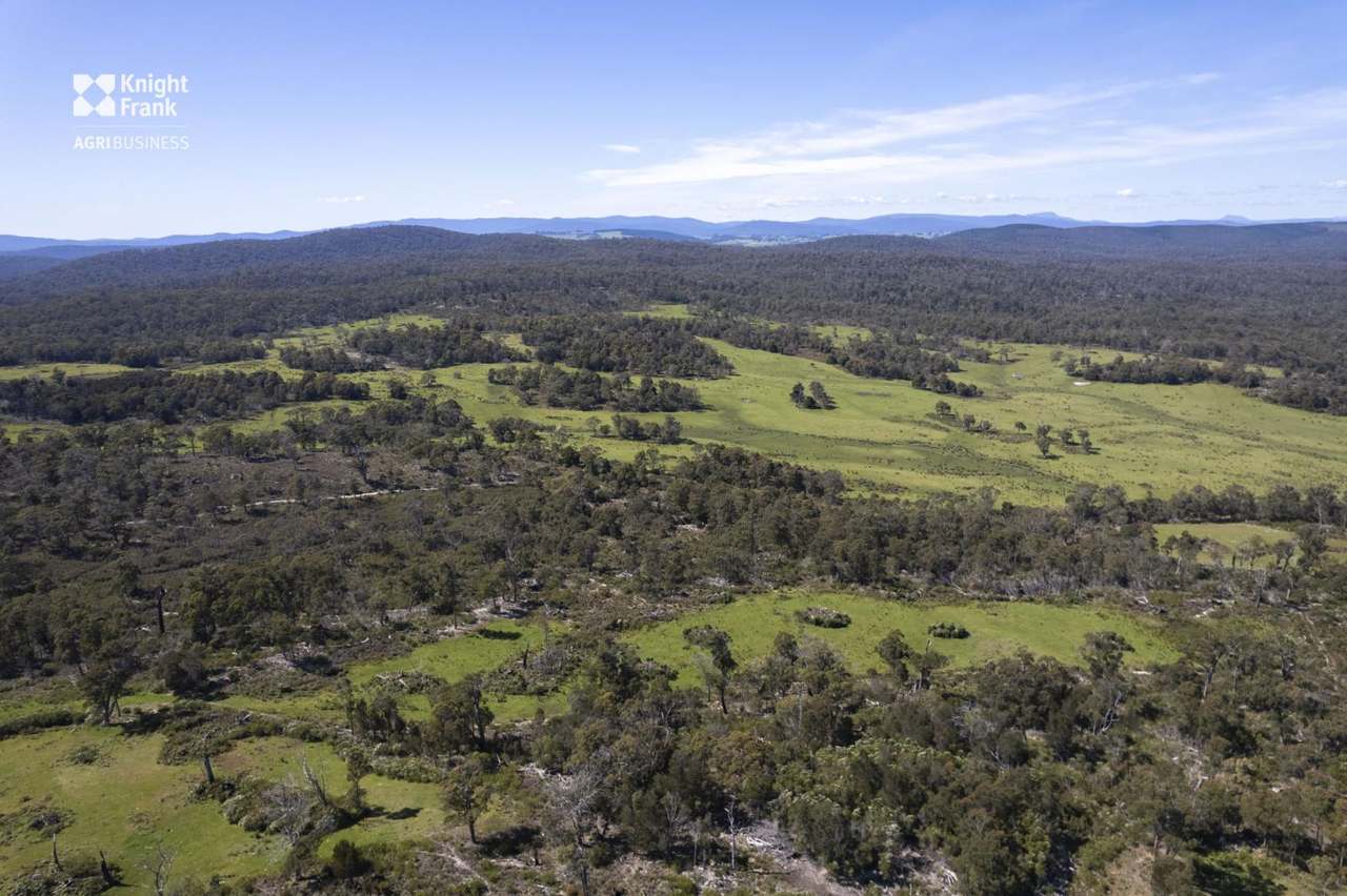Banca Road, Banca Sold by Farmbuy.com - image 9