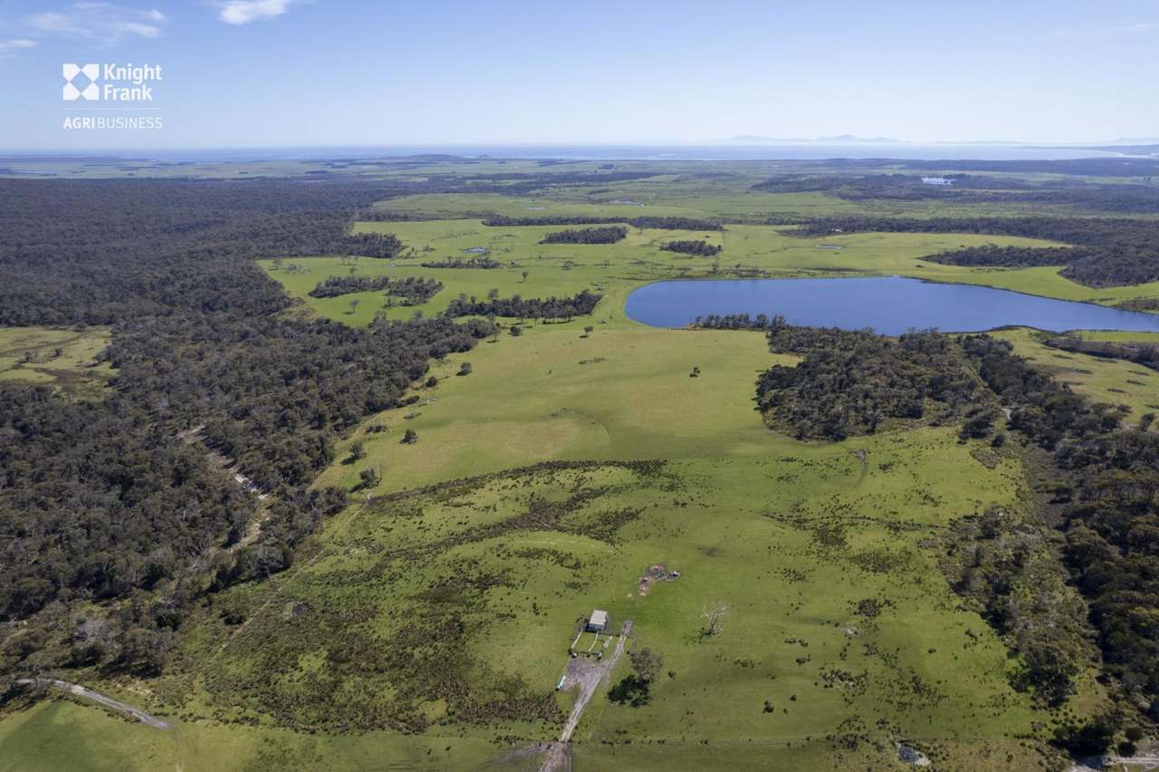 Banca Road, Banca Sold by Farmbuy.com - image 32