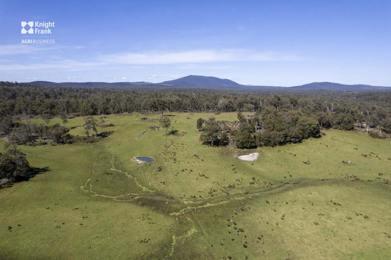 Banca Road, Banca Sold by Farmbuy.com - image 15