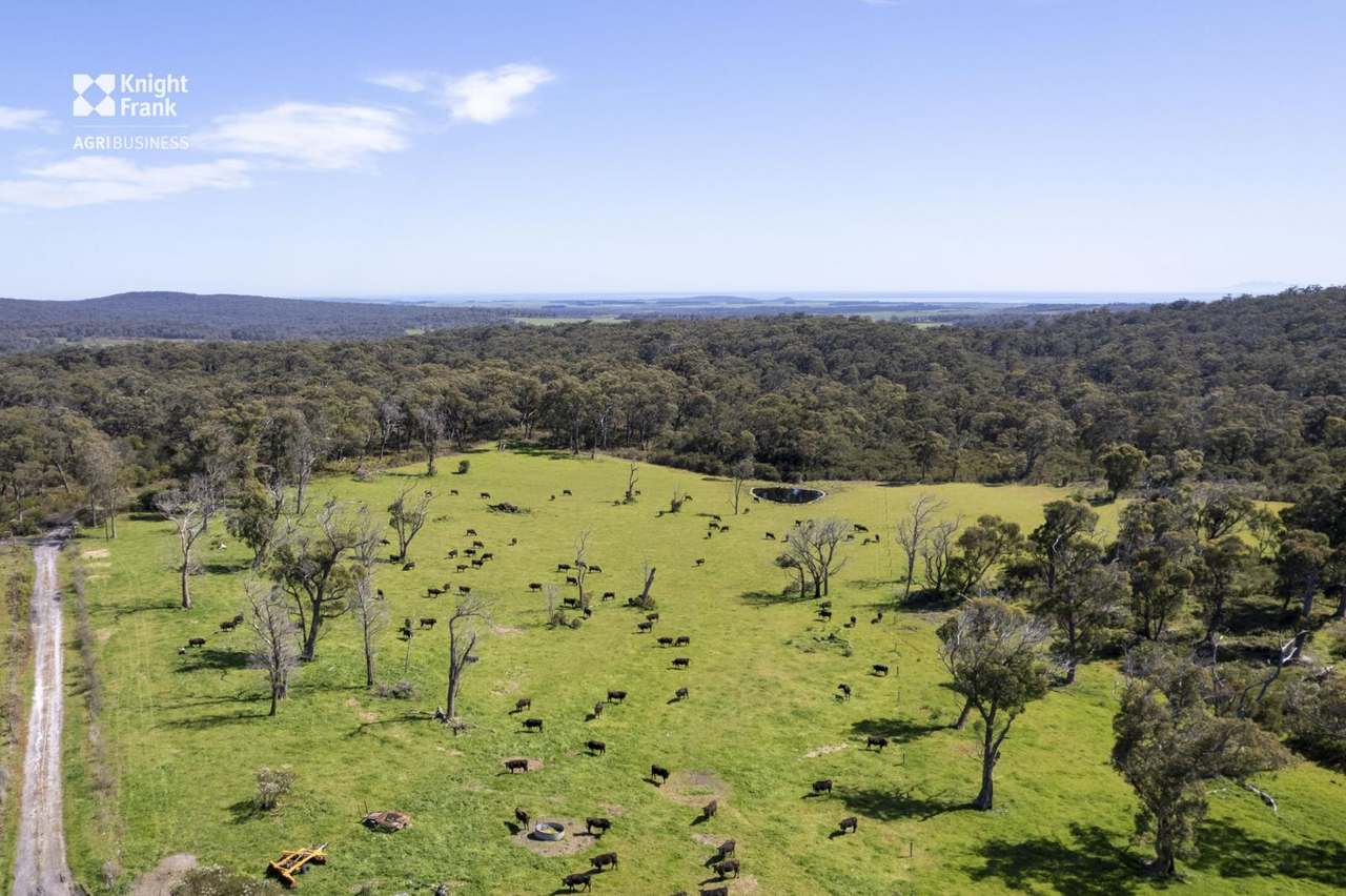 Banca Road, Banca Sold by Farmbuy.com - image 5