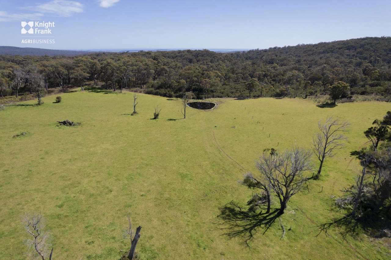 Banca Road, Banca Sold by Farmbuy.com - image 23