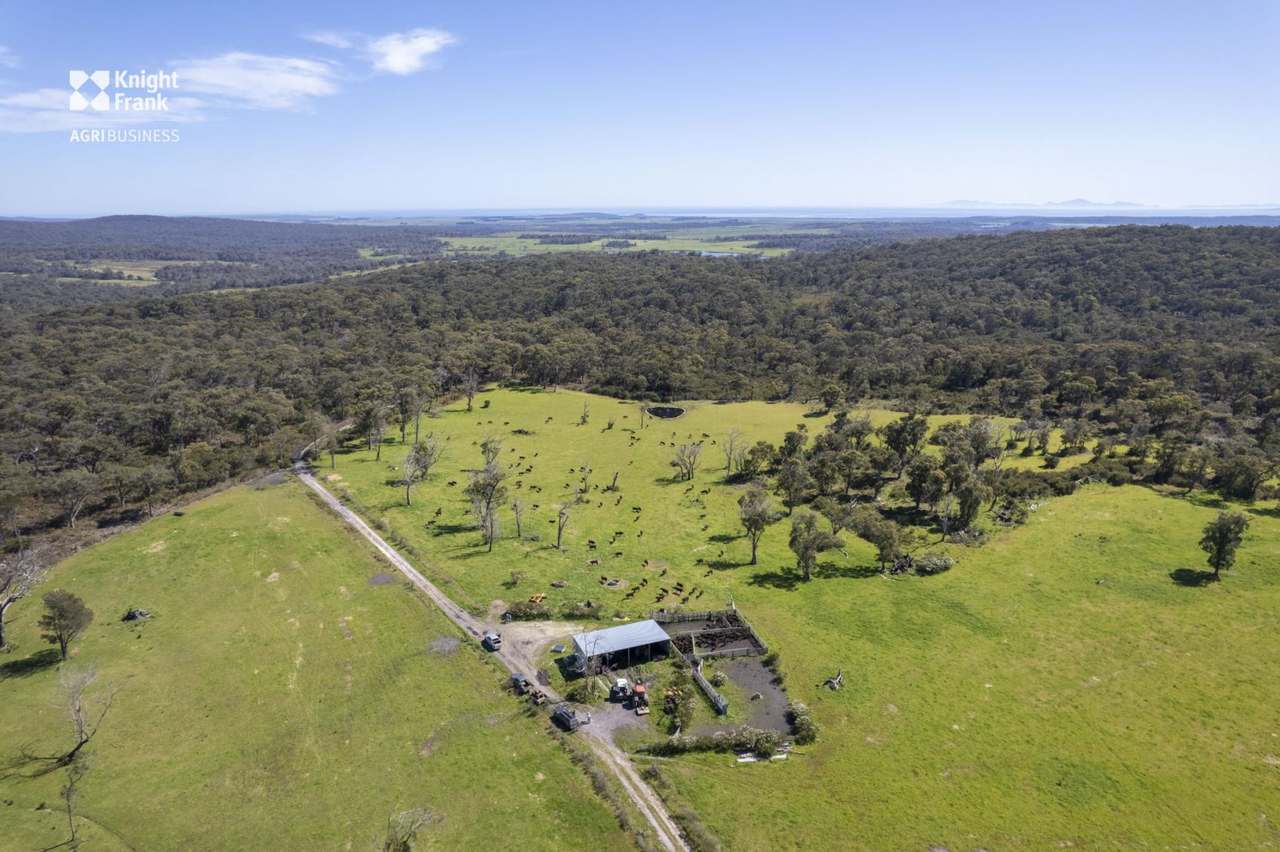 Banca Road, Banca Sold by Farmbuy.com - image 6