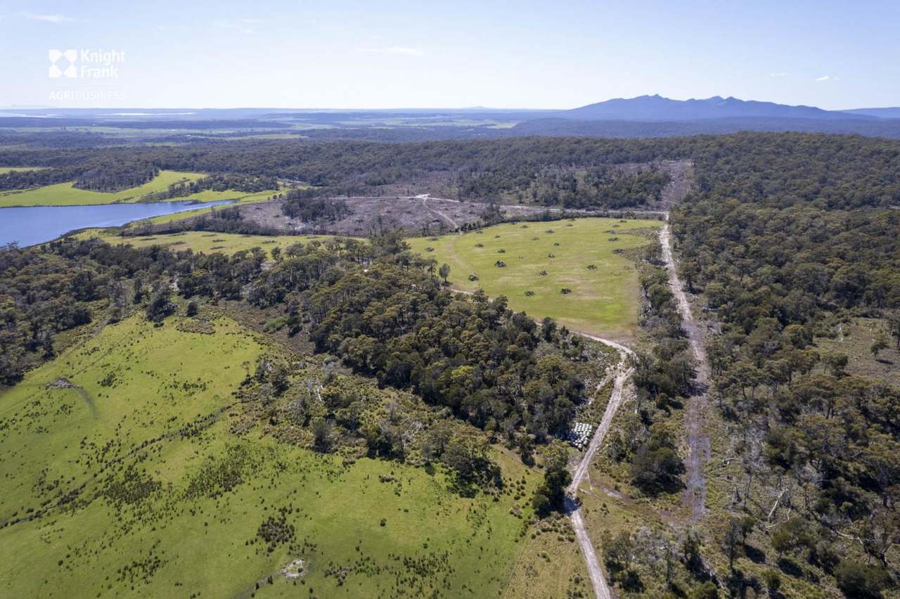 Banca Road, Banca Sold by Farmbuy.com - image 31