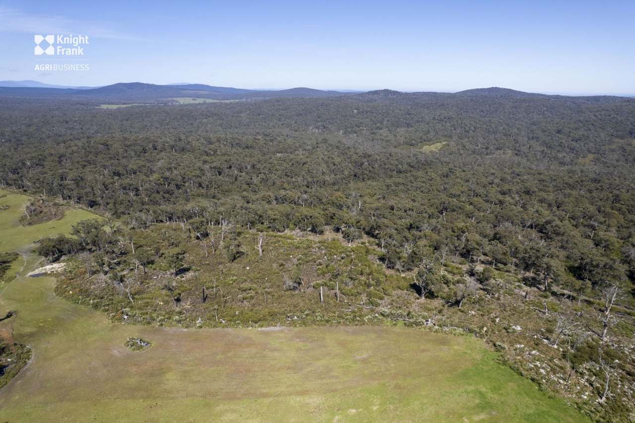 Banca Road, Banca Sold by Farmbuy.com - image 11
