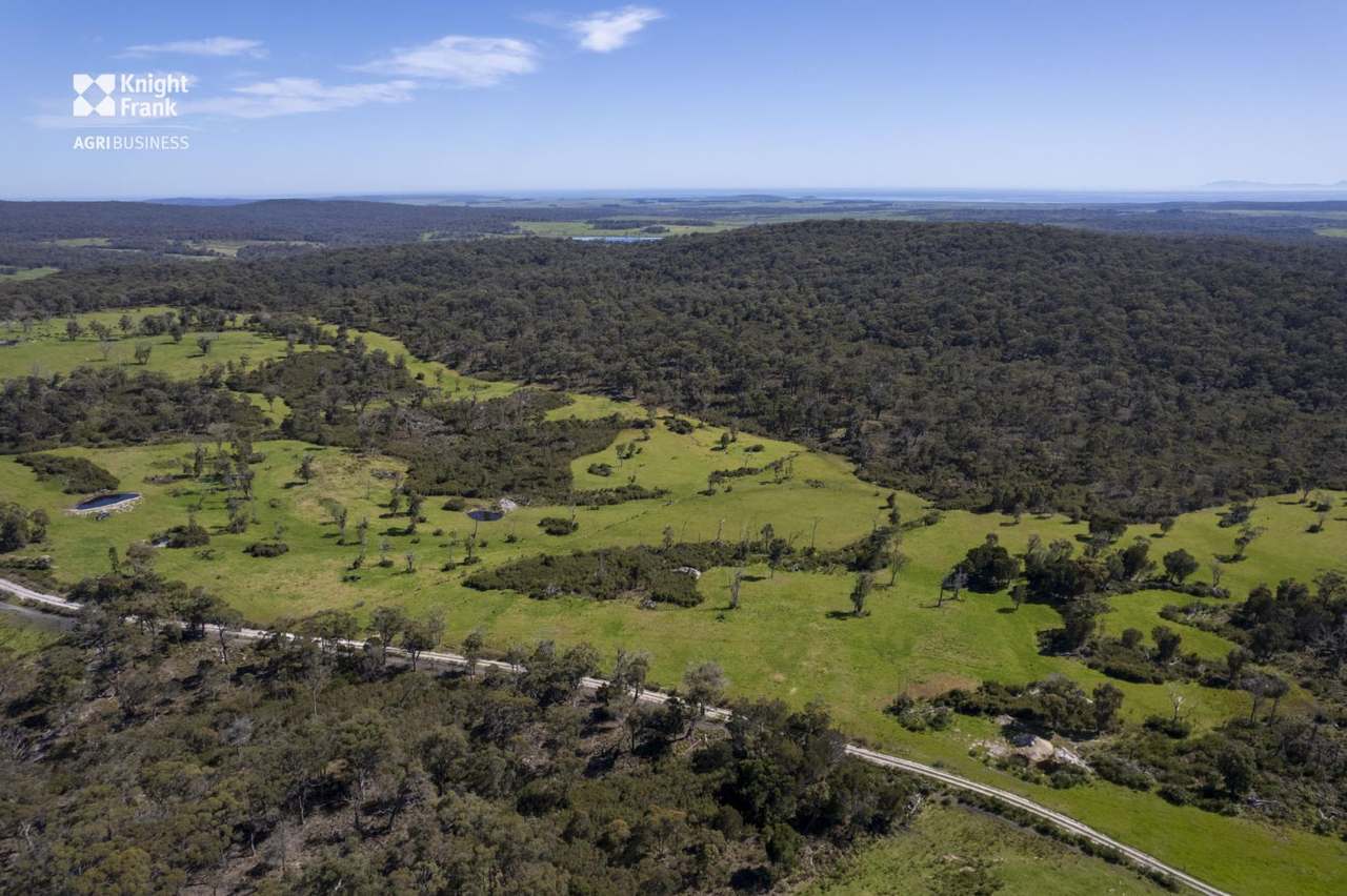 Banca Road, Banca Sold by Farmbuy.com - image 16