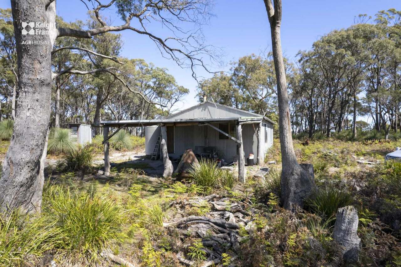 Banca Road, Banca Sold by Farmbuy.com - image 36