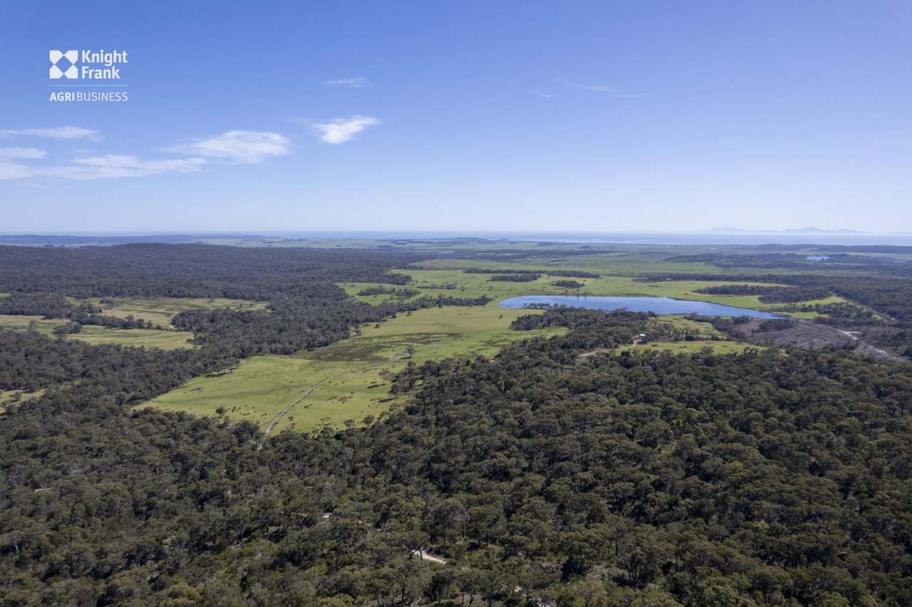 Banca Road, Banca Sold by Farmbuy.com - image 21