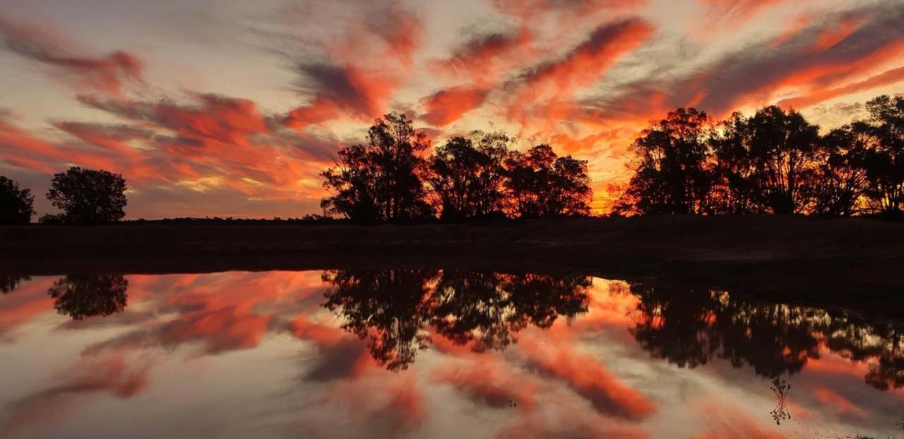 "Lilydale", Burcher For Sale by Farmbuy.com - image 8
