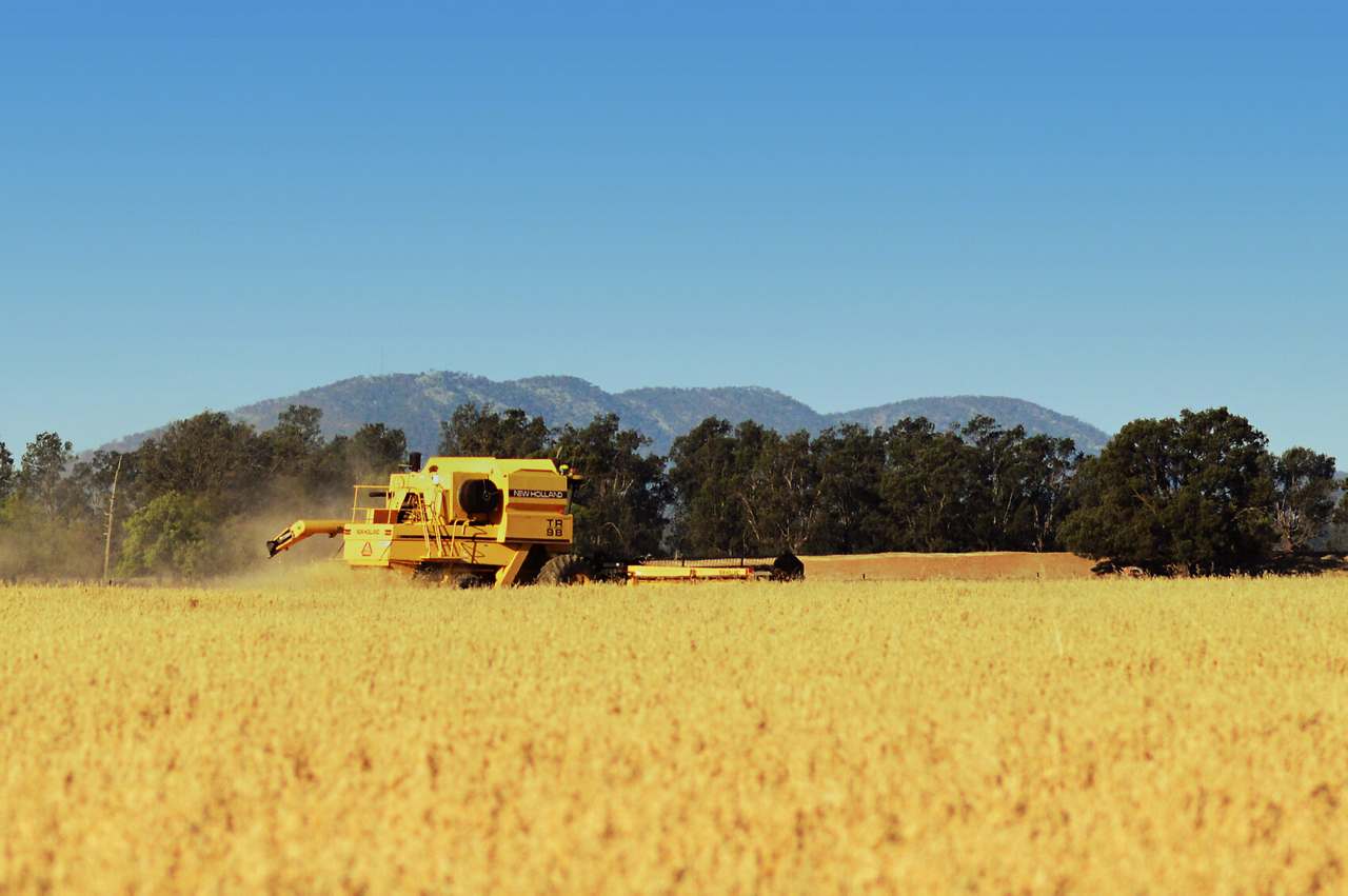 "Lilydale", Burcher For Sale by Farmbuy.com - image 7