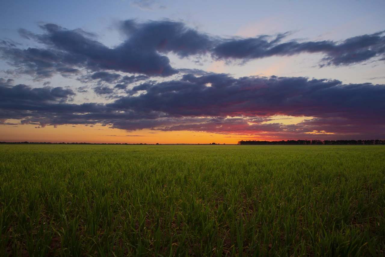 "Lilydale", Burcher For Sale by Farmbuy.com - image 2