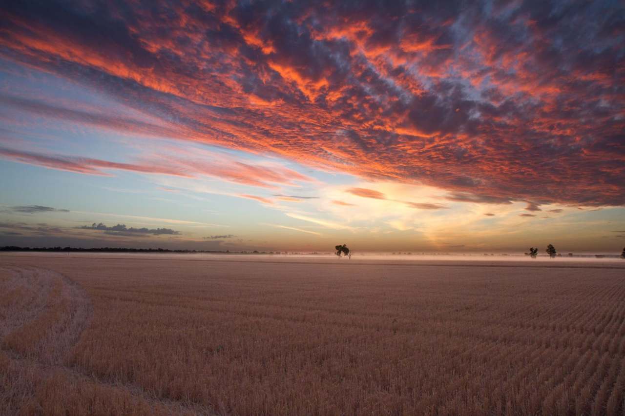 "Lilydale", Burcher For Sale by Farmbuy.com - image 6