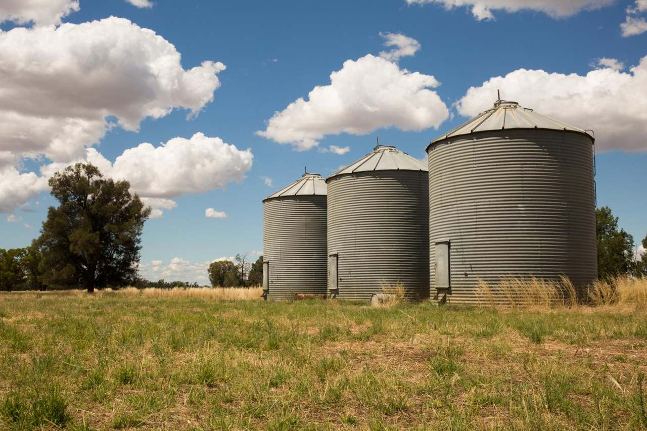 "Lilydale", Burcher For Sale by Farmbuy.com - image 11