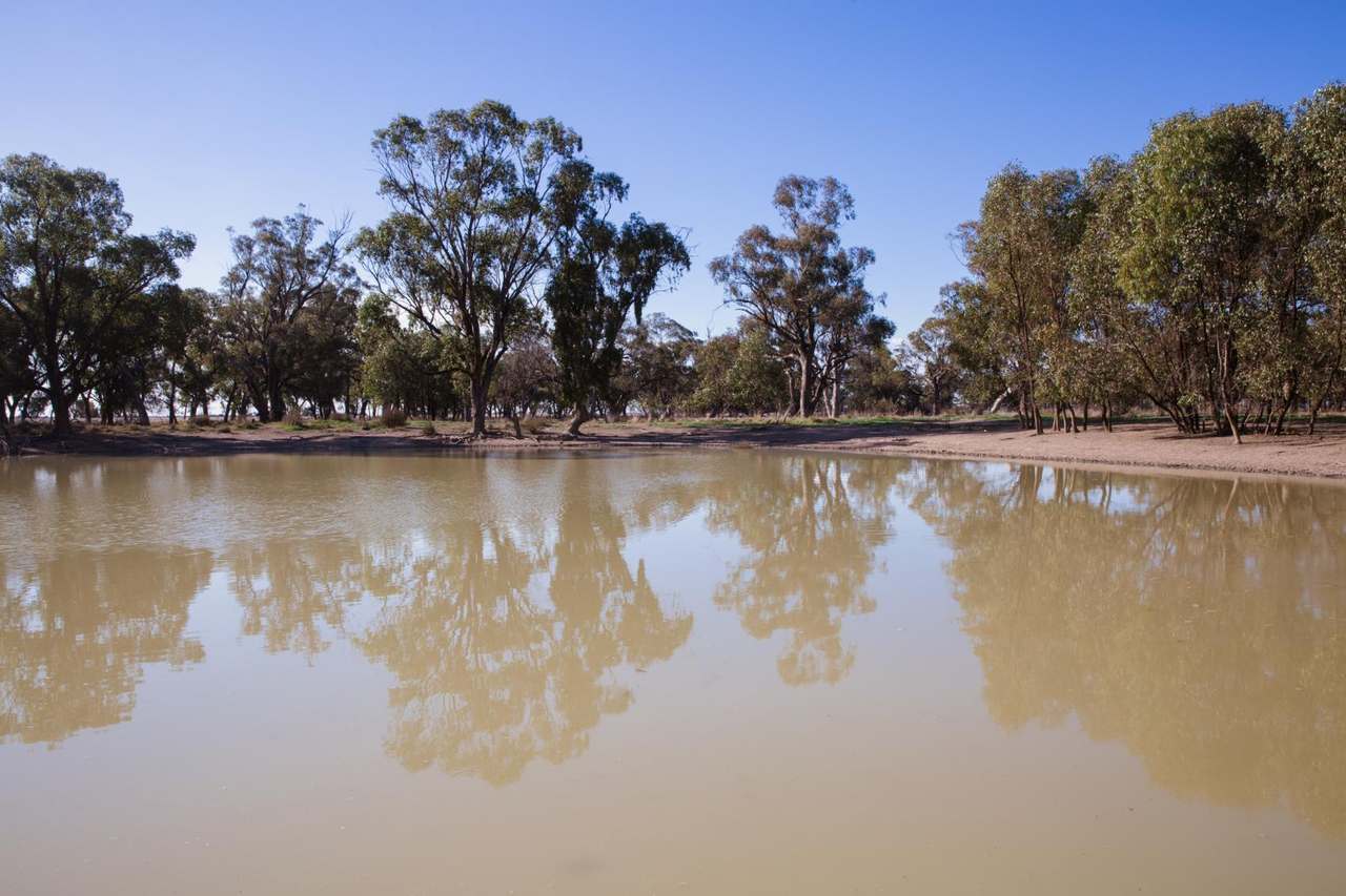 "Lilydale", Burcher For Sale by Farmbuy.com - image 12