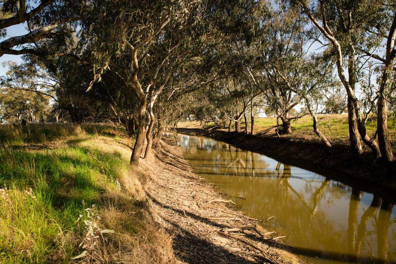 "Lilydale", Burcher For Sale by Farmbuy.com - image 13