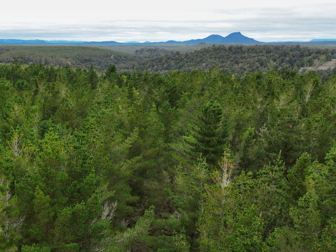 Murchison Highway, Parrawe For Sale by Farmbuy.com - image 6