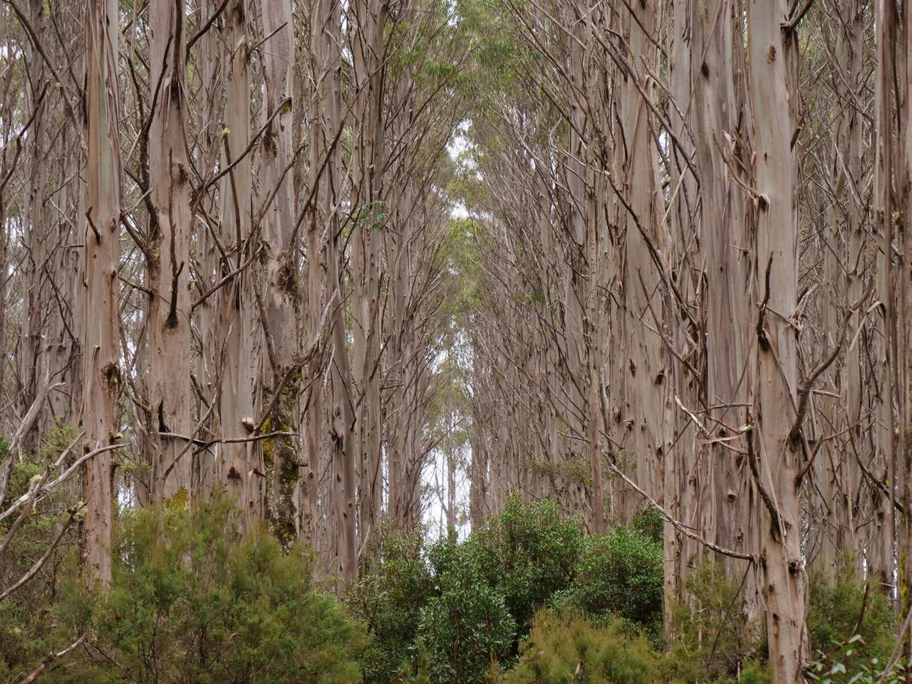 Murchison Highway, Parrawe For Sale by Farmbuy.com - image 8