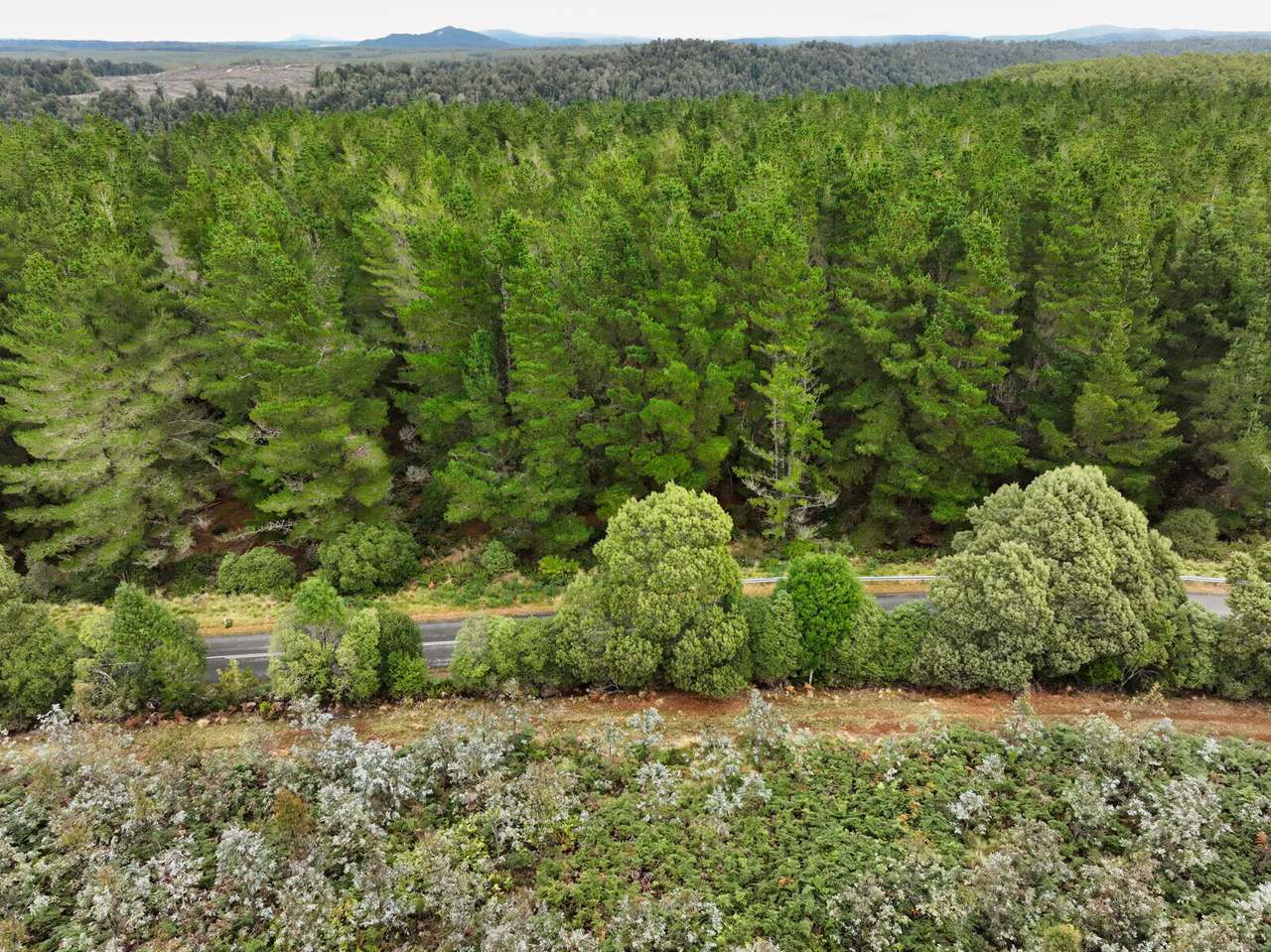 Murchison Highway, Parrawe For Sale by Farmbuy.com - image 4