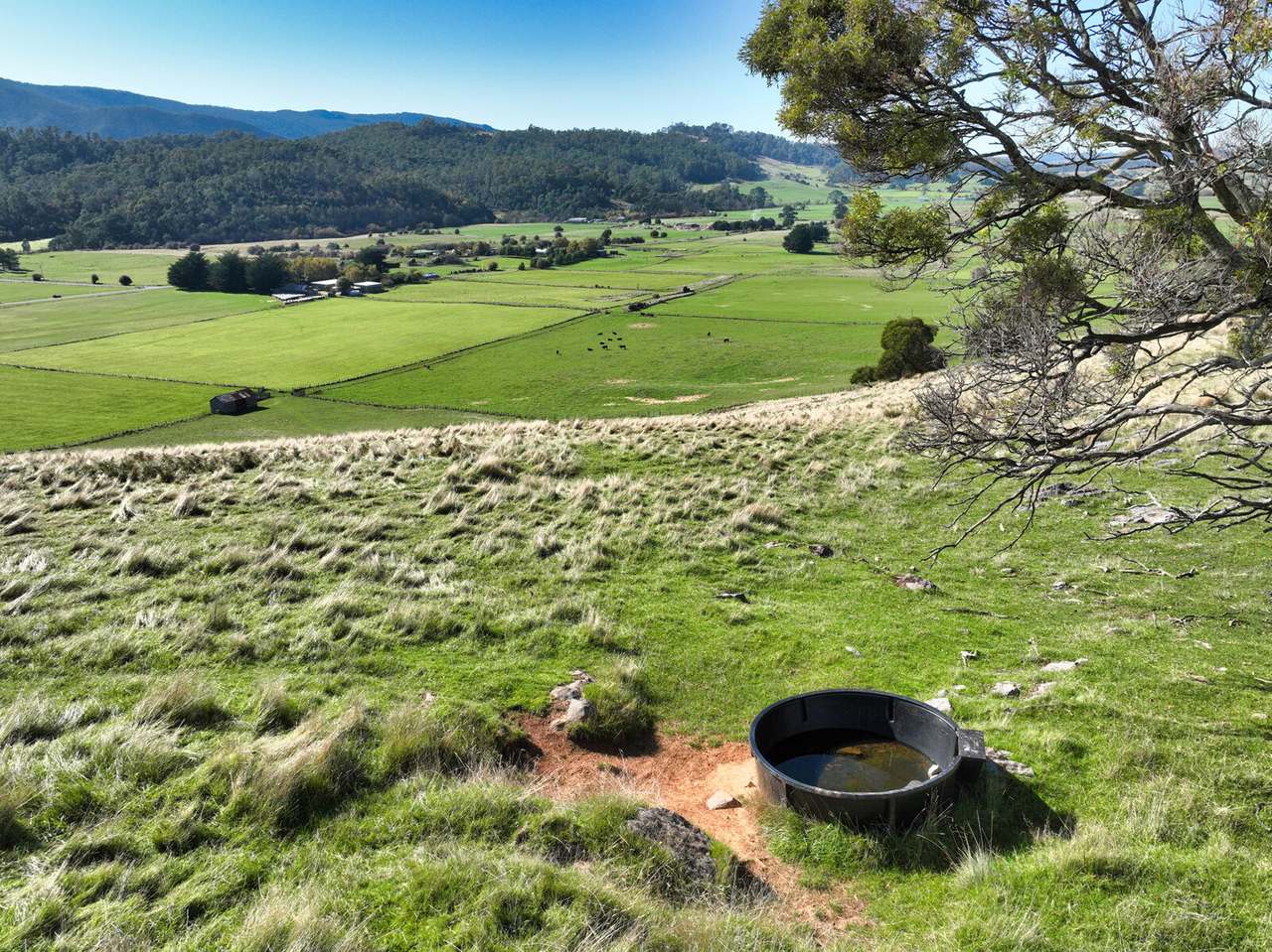 159 Liena Road, Mole Creek Sold by Farmbuy.com - image 21