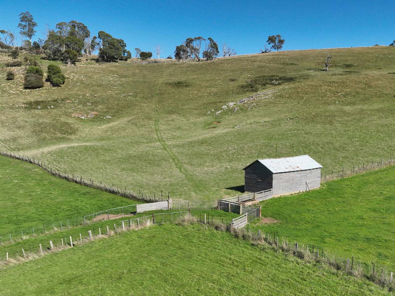 159 Liena Road, Mole Creek Sold by Farmbuy.com - image 6