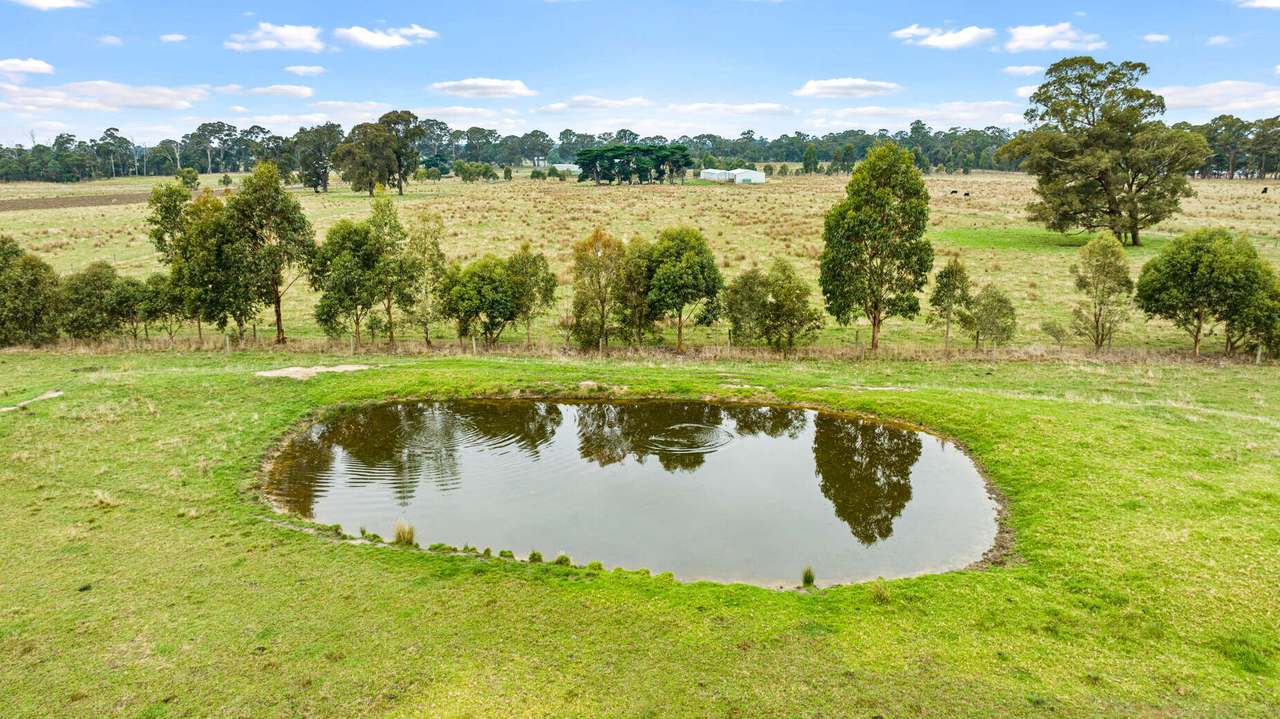 35 Old Walhalla Road, Toongabbie For Sale by Farmbuy.com - image 17