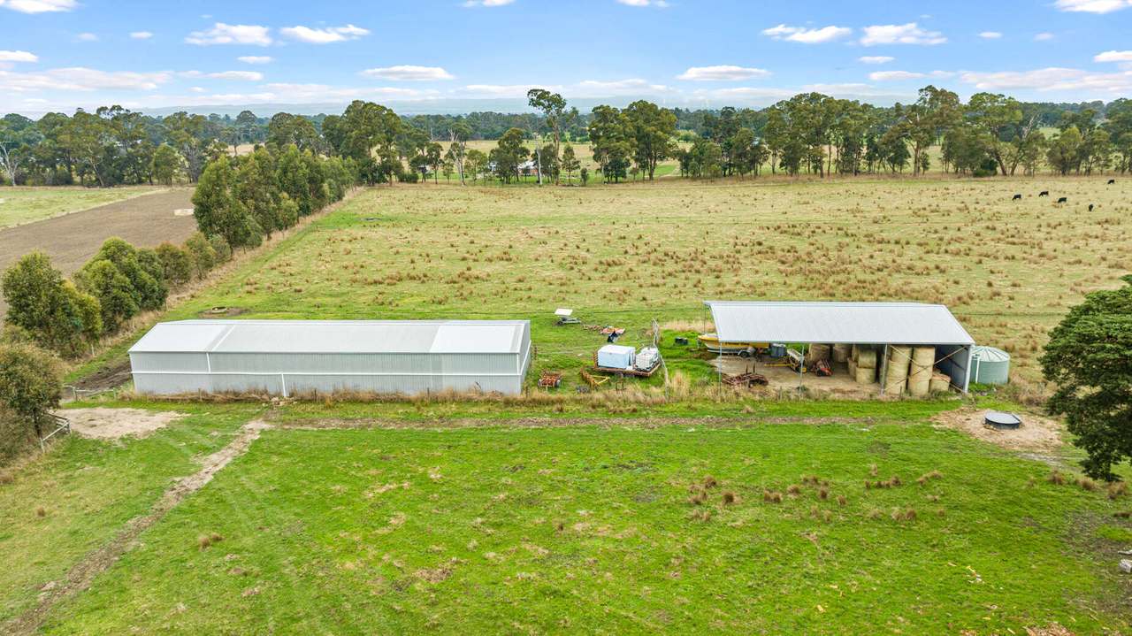 35 Old Walhalla Road, Toongabbie For Sale by Farmbuy.com - image 15