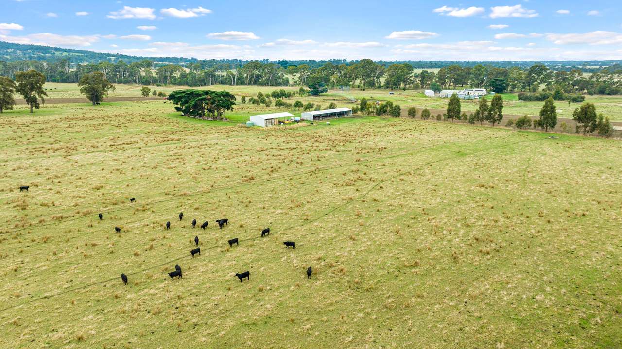 35 Old Walhalla Road, Toongabbie For Sale by Farmbuy.com - image 18