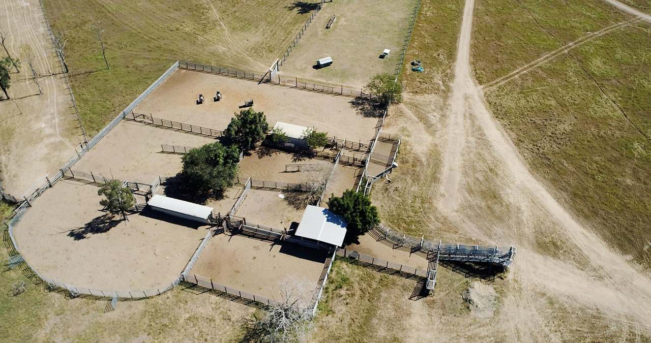 St Lawrence Auction by Farmbuy.com - image 5