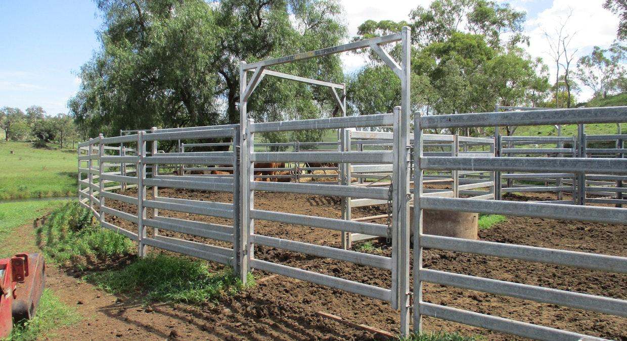5781 Burnett Highway, Goomeri Auction by Farmbuy.com - image 6