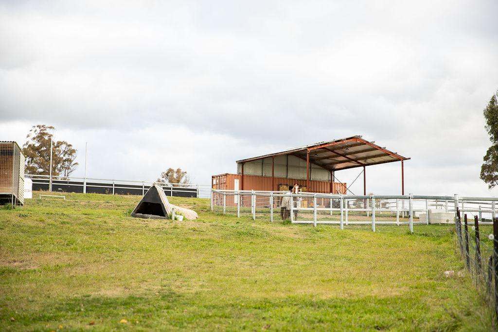38 Warrembah Road, Walcha Sold by Farmbuy.com - image 5
