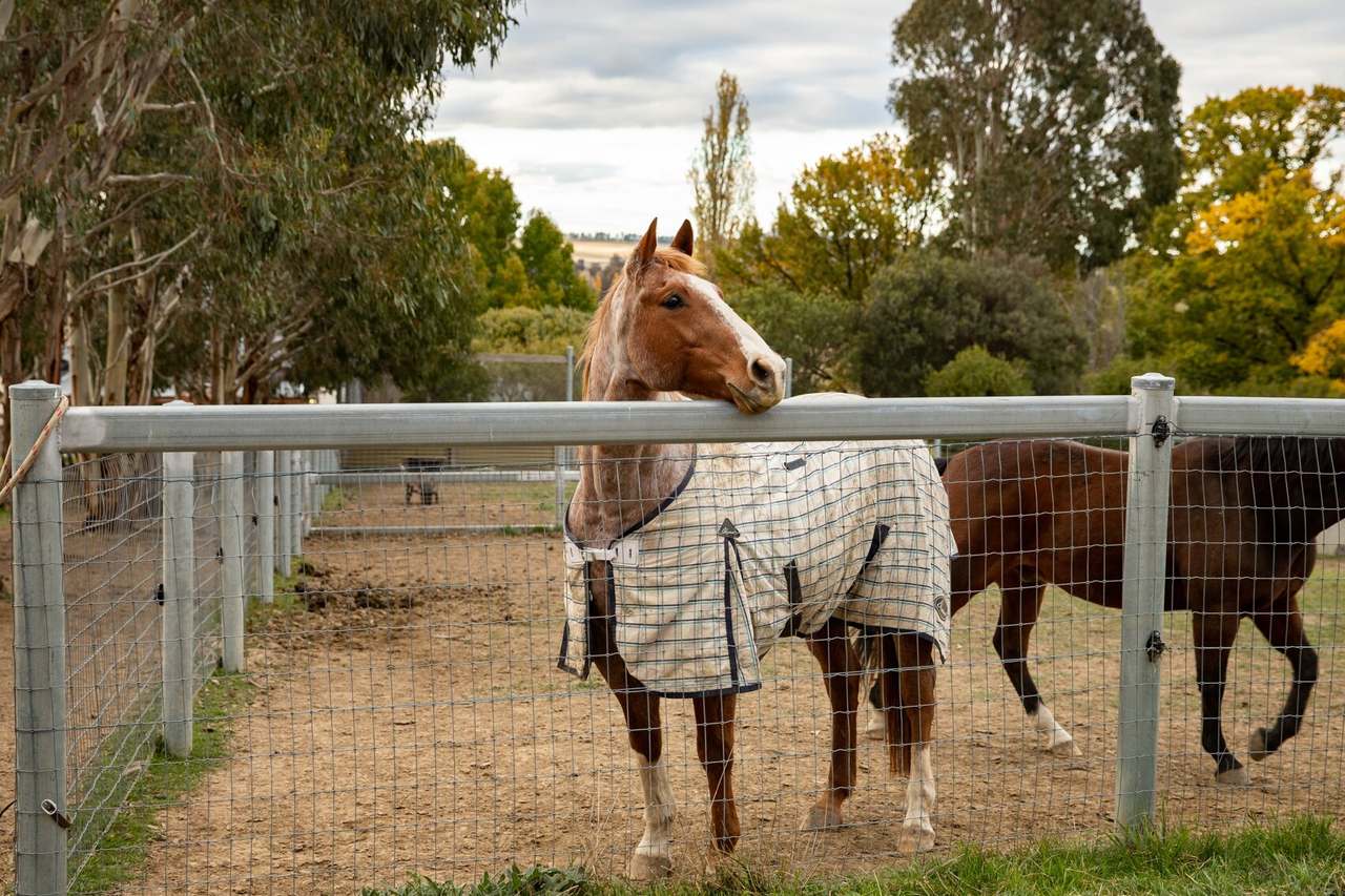 38 Warrembah Road, Walcha Sold by Farmbuy.com - image 3