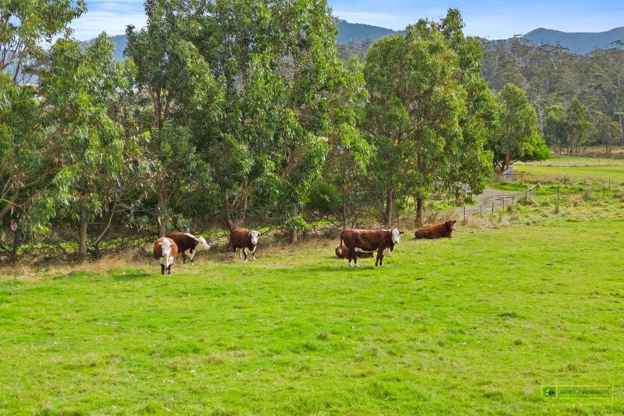 3830 Bruny Island Main Road, Alonnah , Bruny Island Sold by Farmbuy.com - image 27