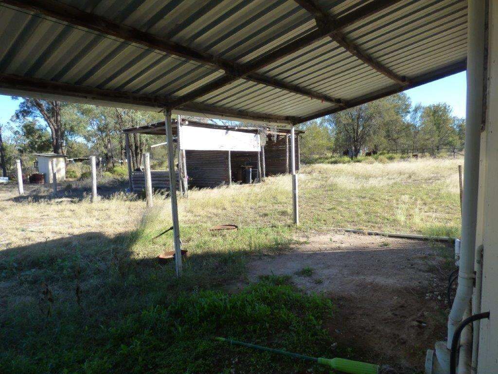 927 Wieambilla Road, Wieambilla Sold by Farmbuy.com - image 11