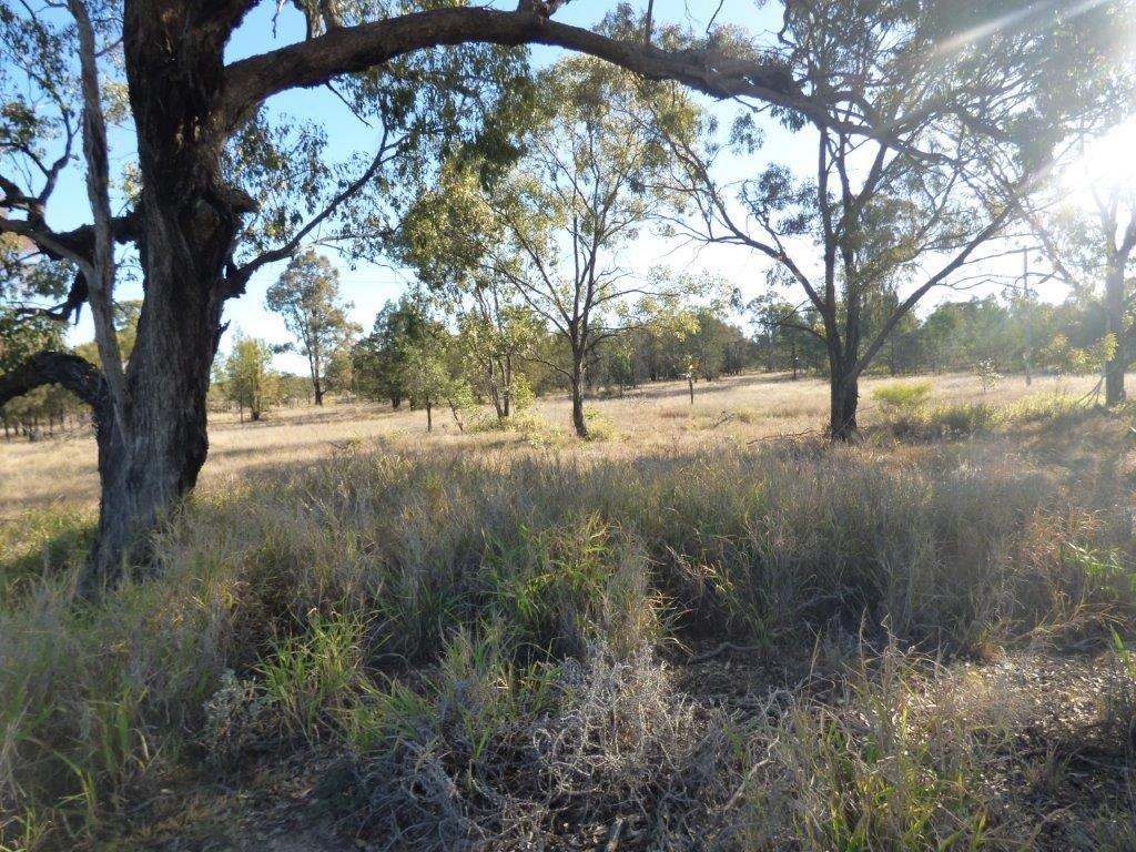 927 Wieambilla Road, Wieambilla Sold by Farmbuy.com - image 21
