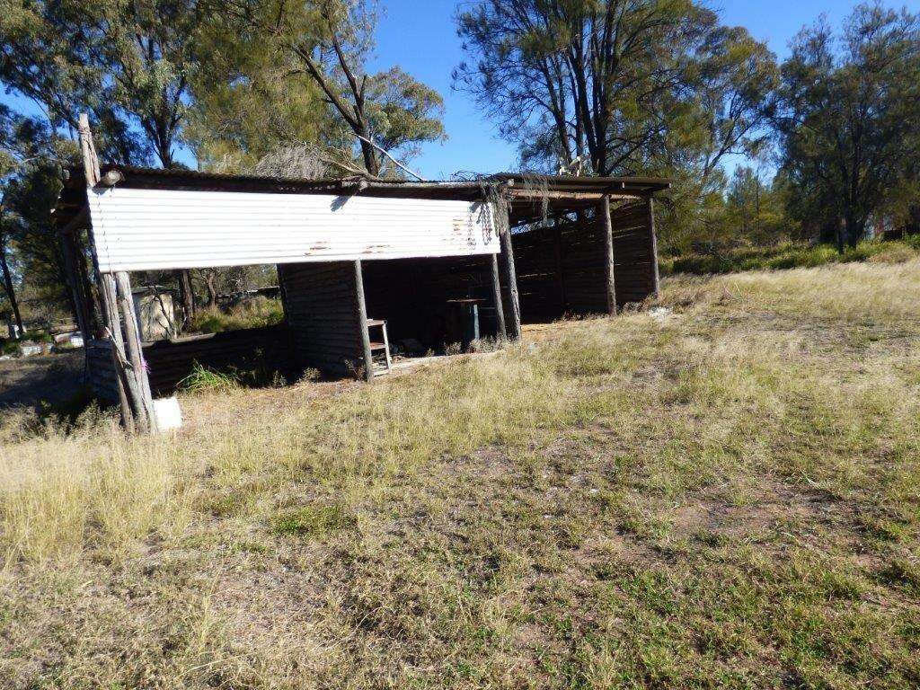 927 Wieambilla Road, Wieambilla Sold by Farmbuy.com - image 14