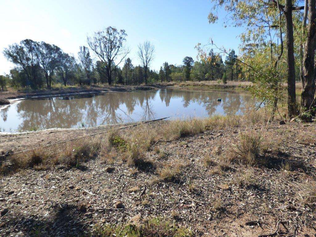927 Wieambilla Road, Wieambilla Sold by Farmbuy.com - image 22
