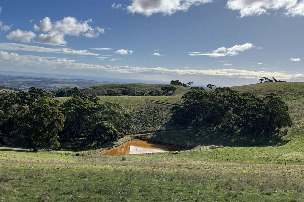 1205 Range Road, Mclaren Flat For Sale by Farmbuy.com - image 32