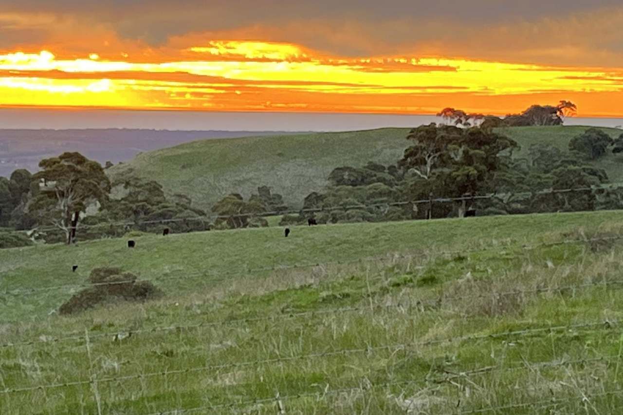 1205 Range Road, Mclaren Flat For Sale by Farmbuy.com - image 26