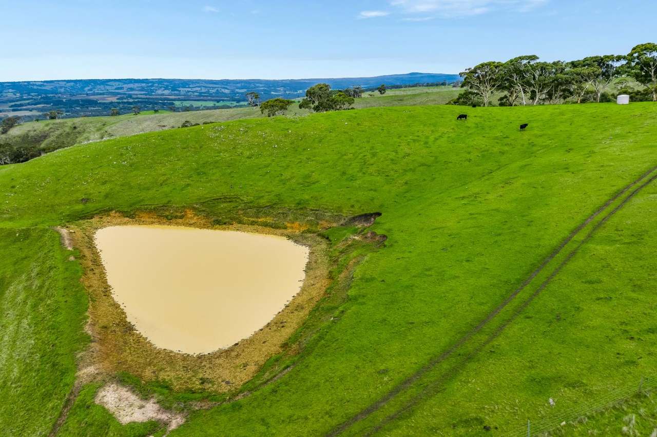 1205 Range Road, Mclaren Flat For Sale by Farmbuy.com - image 21