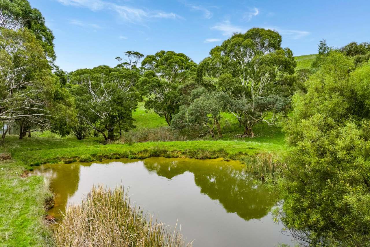 1205 Range Road, Mclaren Flat For Sale by Farmbuy.com - image 9