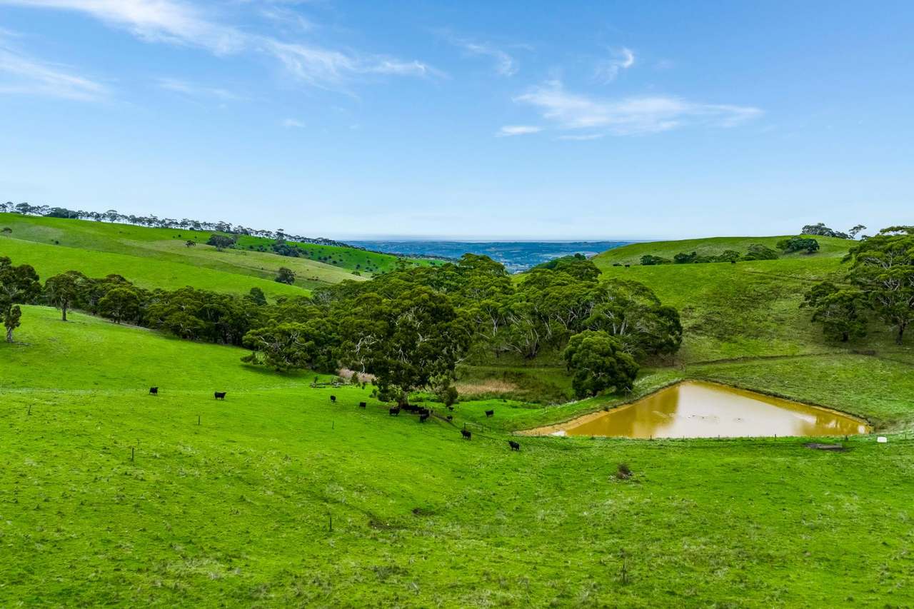 1205 Range Road, Mclaren Flat For Sale by Farmbuy.com - image 6