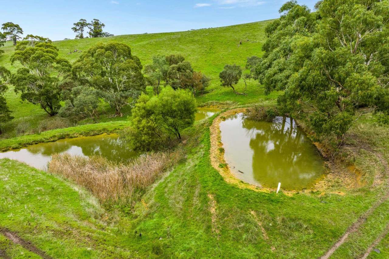 1205 Range Road, Mclaren Flat For Sale by Farmbuy.com - image 8