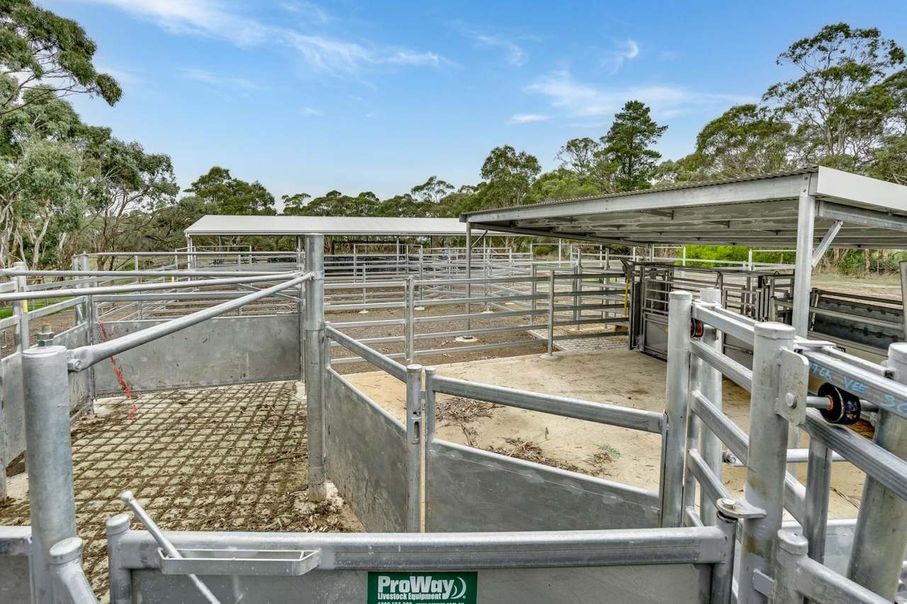 1205 Range Road, Mclaren Flat For Sale by Farmbuy.com - image 20