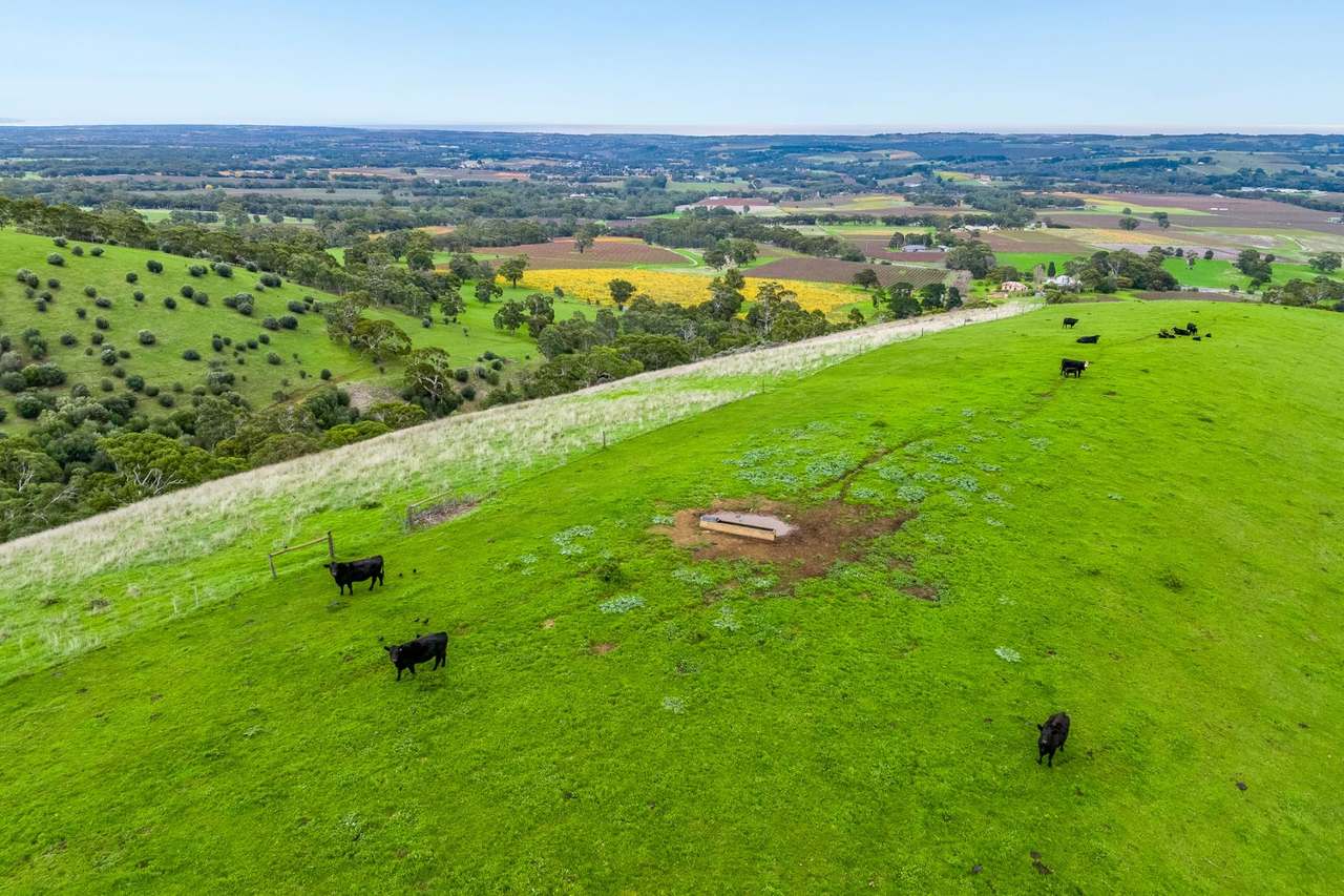 1205 Range Road, Mclaren Flat For Sale by Farmbuy.com - image 22