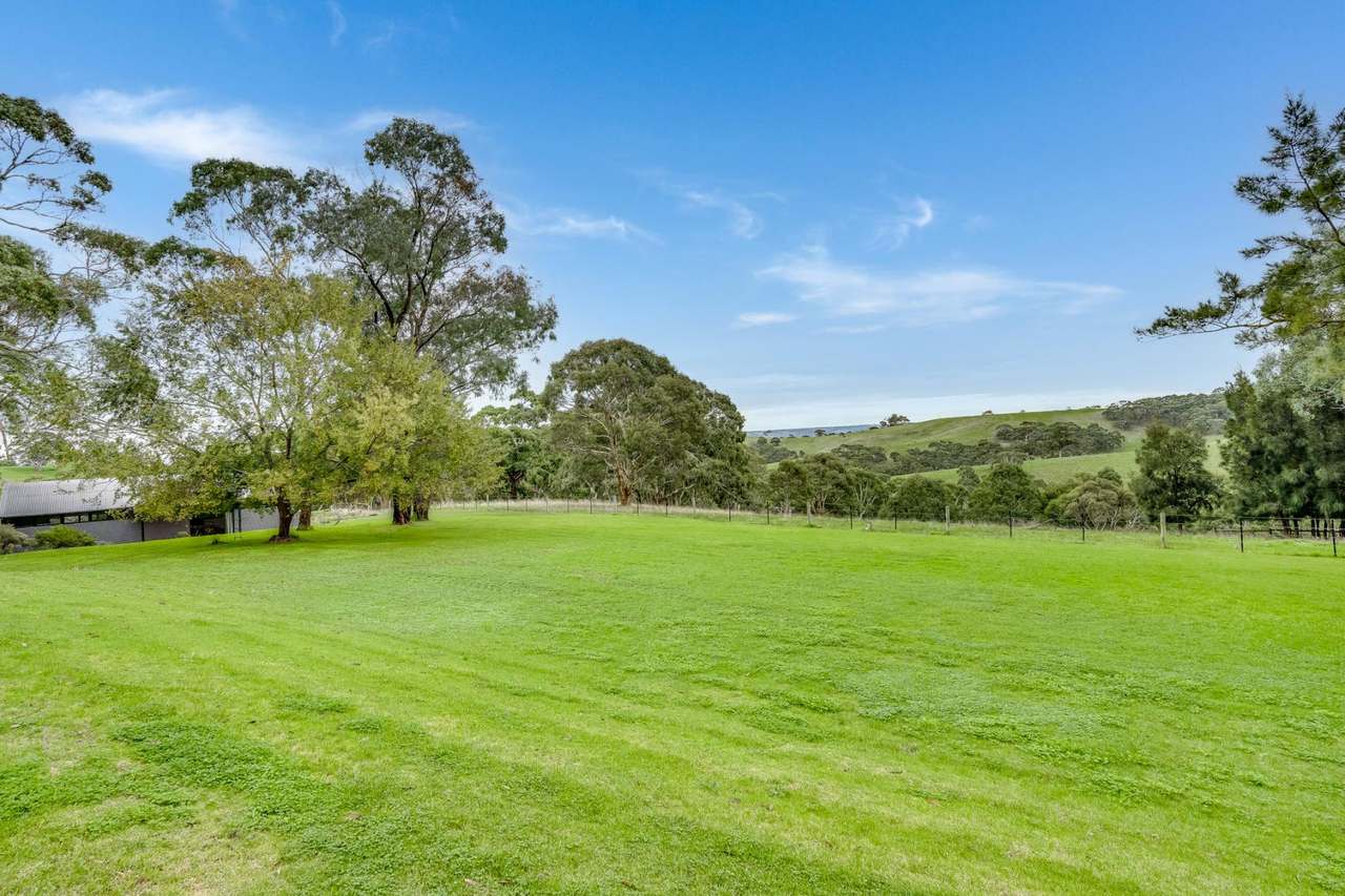 1205 Range Road, Mclaren Flat For Sale by Farmbuy.com - image 12