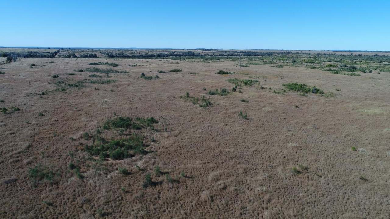 Oombabeer Road, Moura Auction by Farmbuy.com - image 3