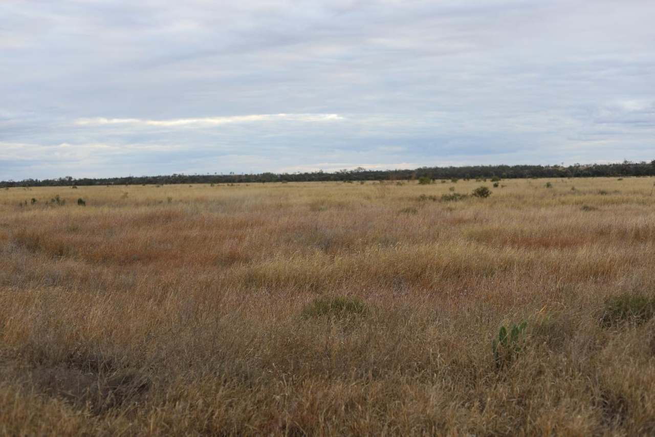 Oombabeer Road, Moura Auction by Farmbuy.com - image 7