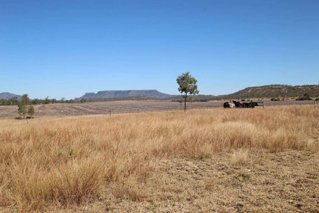 765 Cluen Access Road , Dysart Sold by Farmbuy.com - image 11