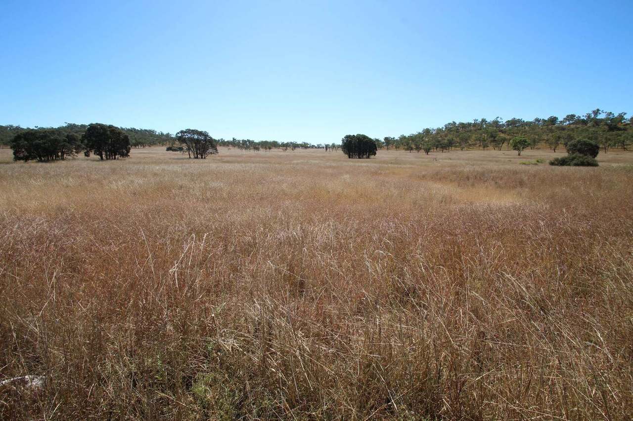 765 Cluen Access Road , Dysart Sold by Farmbuy.com - image 14
