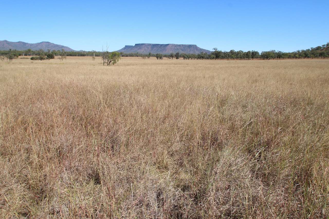 765 Cluen Access Road , Dysart Sold by Farmbuy.com - image 12