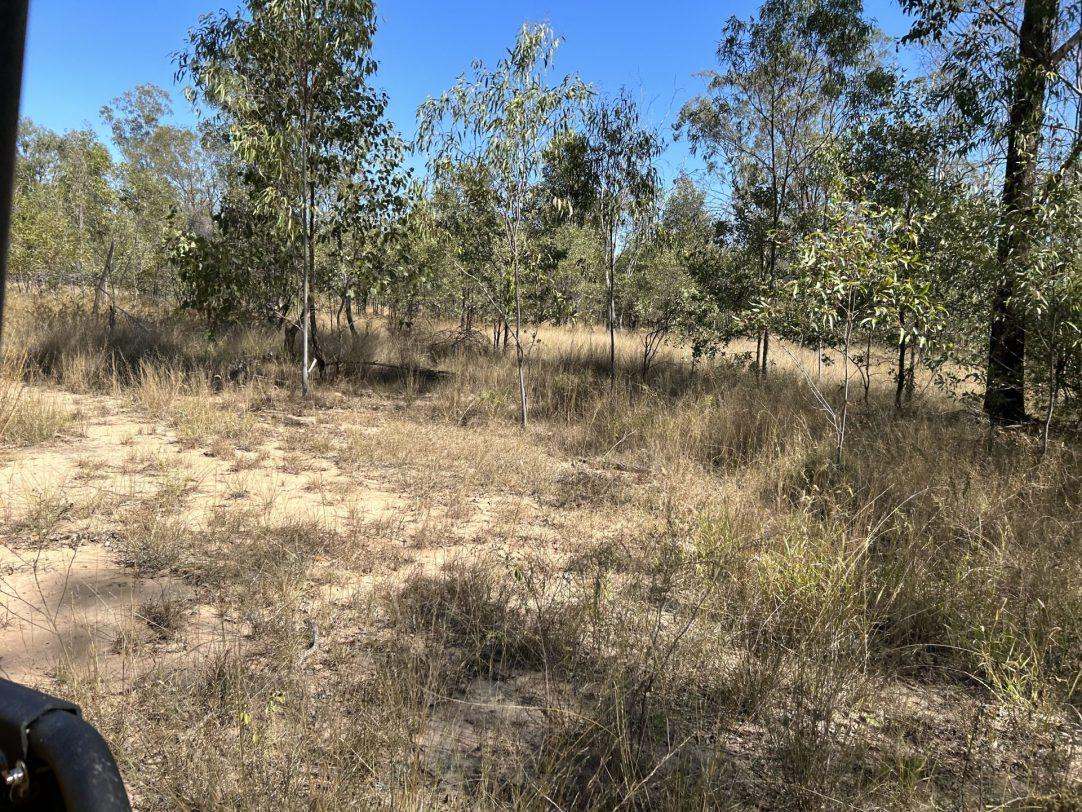 Albert Street, Duaringa For Sale by Farmbuy.com - image 5